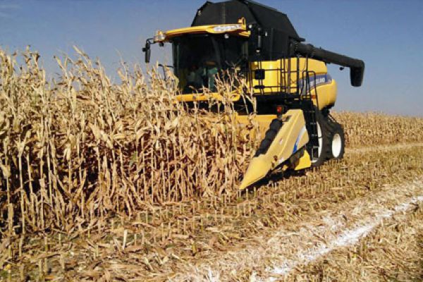 New Holland | Corn Heads | Model 99C Chopping Corn Head (PRIOR MODELS) for sale at Bingham Equipment Company, Arizona
